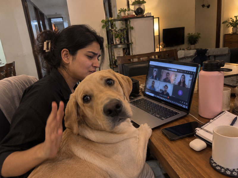 Dog joins the meeting